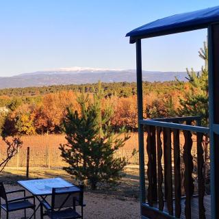 La Carriole dans le jardin - 3