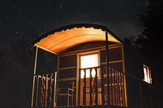 La Carriole dans le jardin - 5