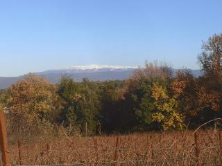 La Carriole dans le jardin - 2