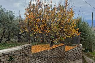 Romantic suite in the village of Castelleone, vicino Deruta, Assisi, Perugia, Montefalco - 5