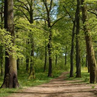 La terrazza sul Borgo di Quadroni - 3