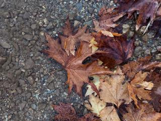 Capris Rustic Ηouse with Mountain View - 8