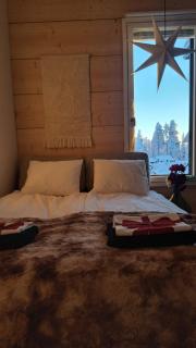 Arctic Giantlog Villa with private ice rink - 0