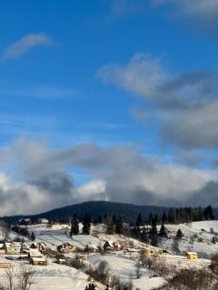 Близнюки Готель - 9