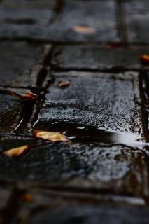 Guilin Farmhouse Hotel - 5