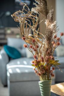 L'S-Kal-56, design et cosy ! - 5