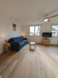 Le petit Central du Leman Studio rénové centre-ville Confort et Luminosité - 0