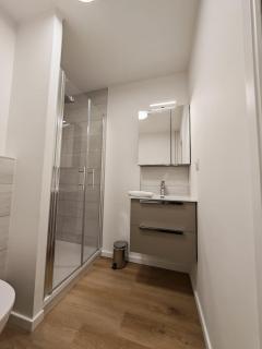 Le petit Central du Leman Studio rénové centre-ville Confort et Luminosité - 4