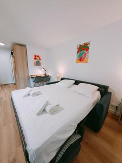 Le petit Central du Leman Studio rénové centre-ville Confort et Luminosité - 3