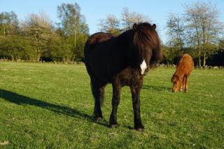 Söderåsens Forsgård - 4