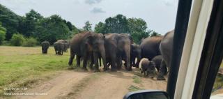 Ruk Sewana Villa Tree House - 7