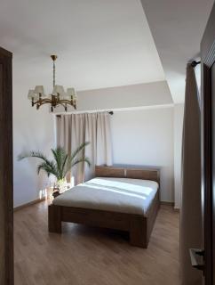 Elegant and comfortable villa - 3