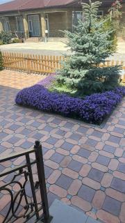 Issyk Kul Royal Beach Cottage - 4