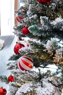 Villa Eliyas near the Pirin Golf Resort - 1