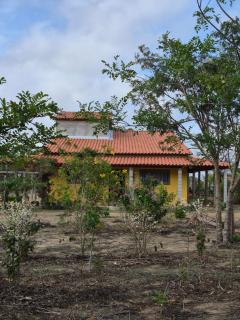 Sítio Recanto das Rosas - 7