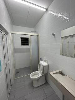 Silliau curve stays - 9