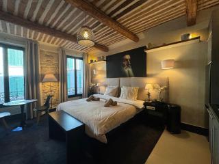 Auberge Nostradamus, Appartement 1 - 0