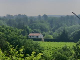 Chez Nana - Maison dans le Gard - 8