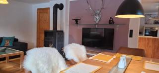 Conny´s Lodge - Schruns - 7