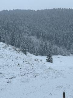 Ca' Santina Rooms & Shared Kitchen - 6