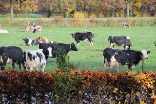 B&B Even Heukelom - Kamer 2 - 3