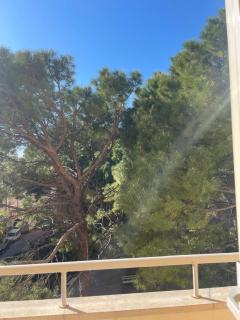 Trieste my home! - 1