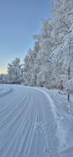 Villa Santa's Neighbor in Rovaniemi - 8