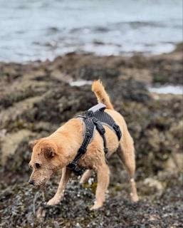 Southside Street Apartments - 4