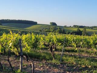 Demeure de Malaville - 3