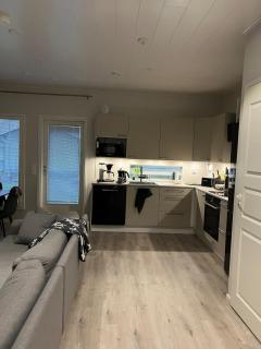 Modern apartment near downtown - 4