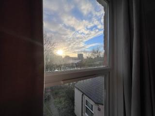 The Bluebird B&B III - 5