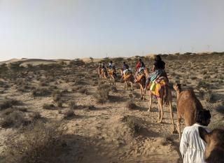 Hotel Al-raya Jaisalmer - 1