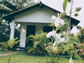 Sigiriya Dreamscape Villa - 6