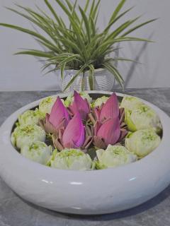 Angkor Rise Boutique - 7