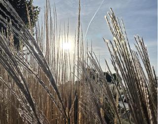 Apartmenthaus-Usedom "Kajüte 5" Meerluft & Gemütlichkeit - 9