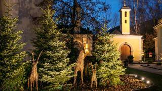 ARCOTEL Castellani Salzburg - 4