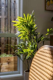 Contemporary 4BR Logan Reserve Home with Parking & Open Living - 2