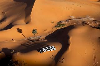 Soul Dunes Luxury Camp - 8