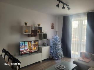 Casa cu Floarea Soarelui - 6