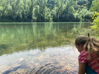 Chalet tout confort et petit déjeuner - formule hotelière - 1