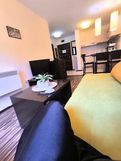 Warm Evenings and free Bottle of Wine in Perun Lodge - Bansko - 1