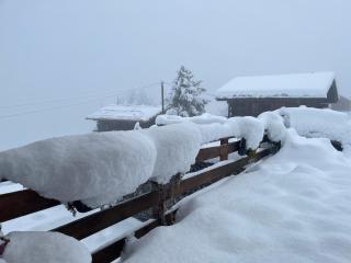 Le Coin Barlouka - 3