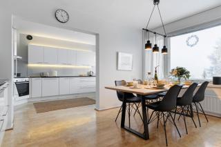 Arctic Sky Apartment - 8