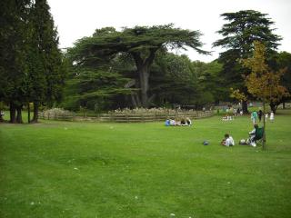 Charmantes Cottage im Landhausstil in Kearsney, Dover - 6