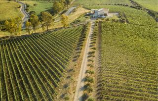 Cozy Home In Rodi Milici With Wifi - 5