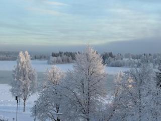 Arctic Sky Apartment - Rovaniemi - 7