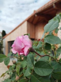 L'espace-temps - Saint-Appolinard - 2