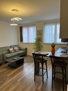 Center apartment - 9