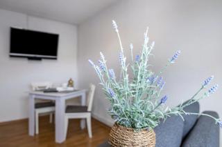 Practical Mechanic's Room 5 - 6