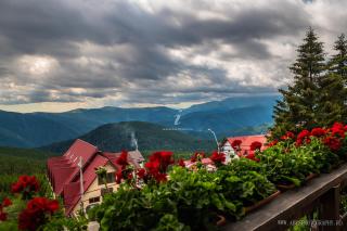 Pensiunea MariFlor - 2